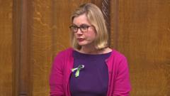 In Pictures MPs Wear Suffragette Tributes In Commons BBC News