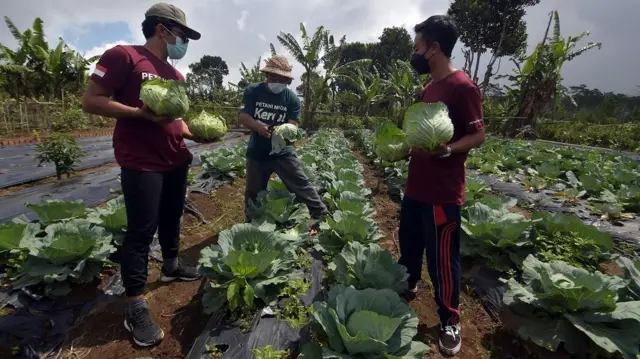 Wisata Bali Sempat Anjlok Sejumlah Pemuda Beralih Menjadi Petani