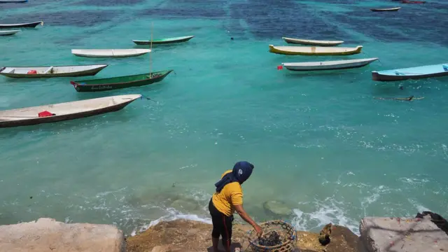 Covid 19 Pariwisata Bali Terpuruk Rumput Laut Menyelamatkan Warga