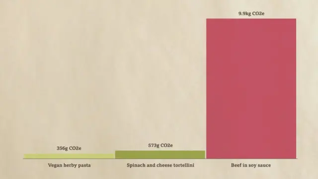 Bbc Eksperiment Vegani I Vegetarijanci Ija Ishrana Manje Teti