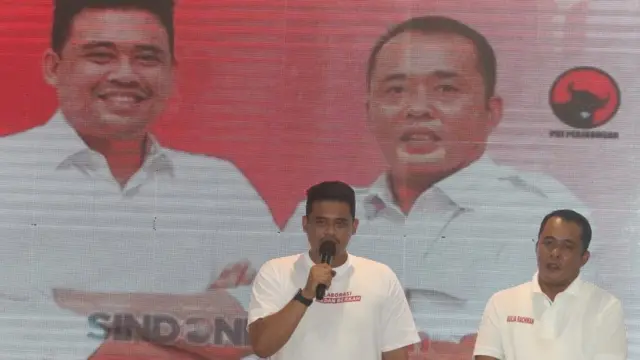 Pilkada Gibran Dan Bobby Diproyeksi Menang Meski Minim Pengalaman