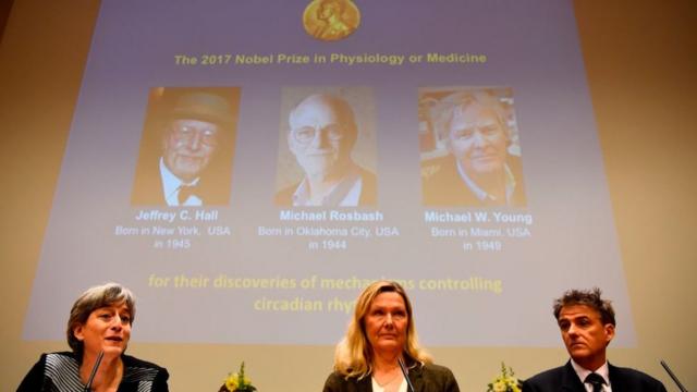 Tres Estadounidenses Ganan El Premio Nobel De Medicina Por Sus