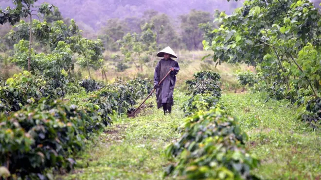 Guerra de Vietnam por qué Estados Unidos perdió el conflicto pese a su