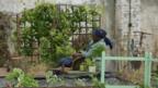 Diveen Henry in Grow Your Own