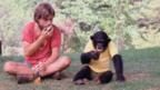 Bill Tynan and Nim in Project Nim