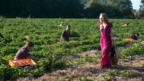 Christine Bottomley in Strawberry Fields