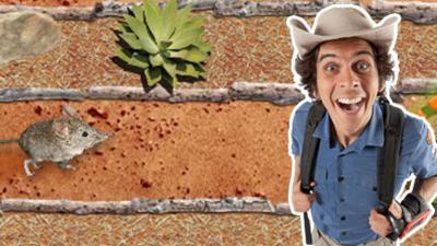 Andy's Wild Adventures - CBeebies - BBC