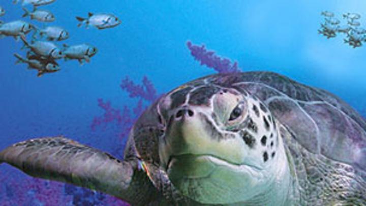 Sea life centre deals uk
