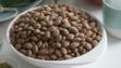 beans