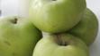 bramley apple