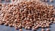 brown lentil