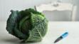 cabbage