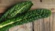 cavolo nero