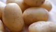 charlotte potato