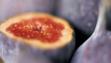 fig
