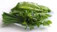 herbs