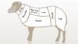 lamb