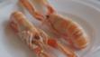 langoustine