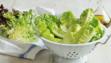 lettuce