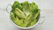 Little Gem lettuce