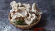 oyster mushrooms