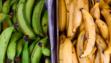 plantain