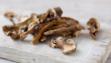 porcini