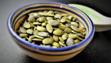 pumpkin seed