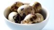 quail's egg