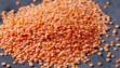 red lentil
