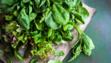 salad leaves