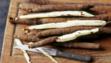 salsify