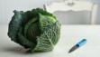 savoy cabbage