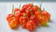 Scotch bonnet chilli