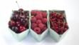 summer fruit