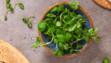 watercress