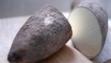 yam
