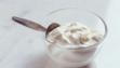 yoghurt