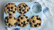 muffins