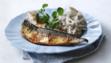 mackerel