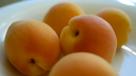 Apricot