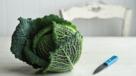 Cabbage