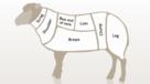 Lamb