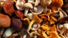 Wild mushrooms