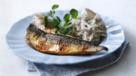 Mackerel