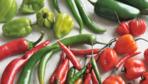 chilli