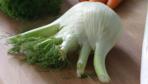 fennel