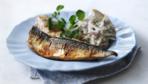 mackerel