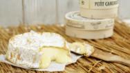 camembert