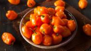 habañero chillies